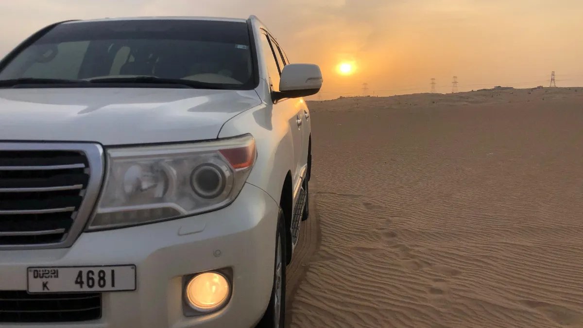 Kids Friendly Morning Desert Safari