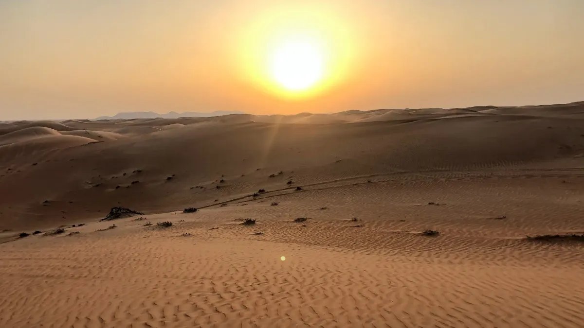 Abu Dhabi Evening Desert Safari