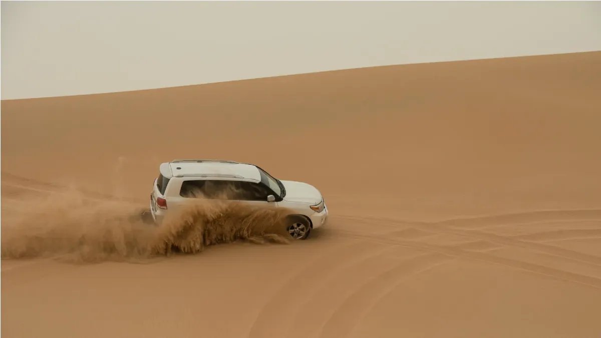 Abu Dhabi Morning Desert Safari