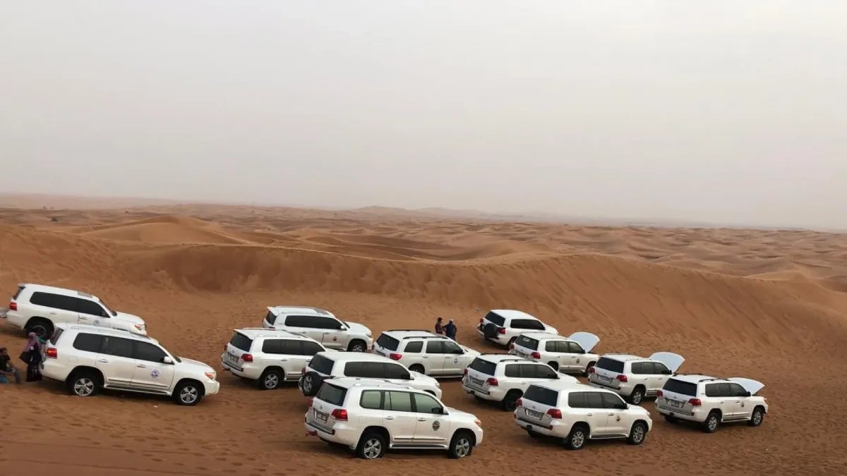 Abu Dhabi Morning Desert Safari
