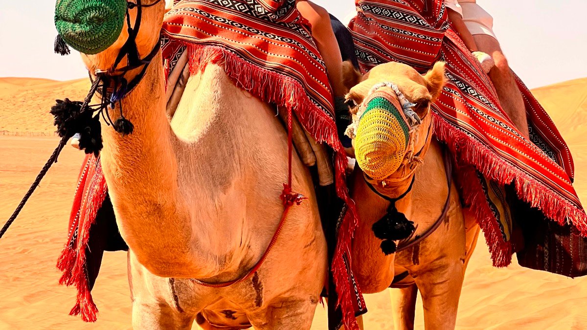 Things to do with kids in Dubai