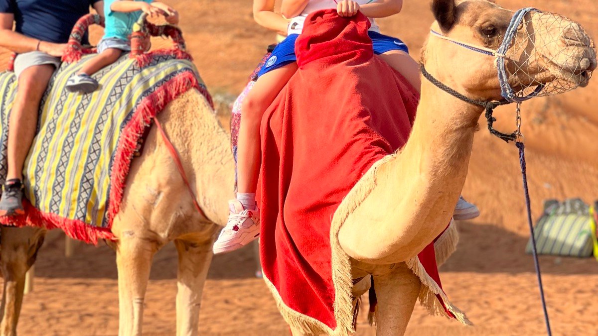 Kids-Friendly Morning Desert Safari Abu Dhabi – Family Desert Tour