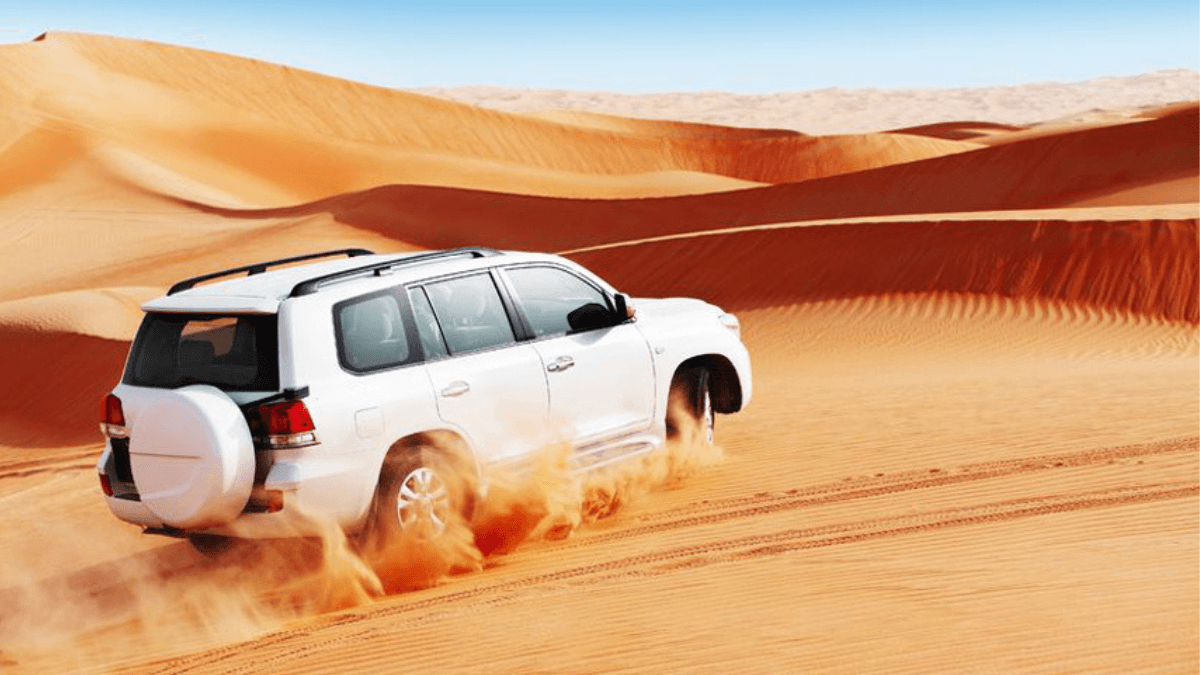Abu Dhabi Morning Desert Safari