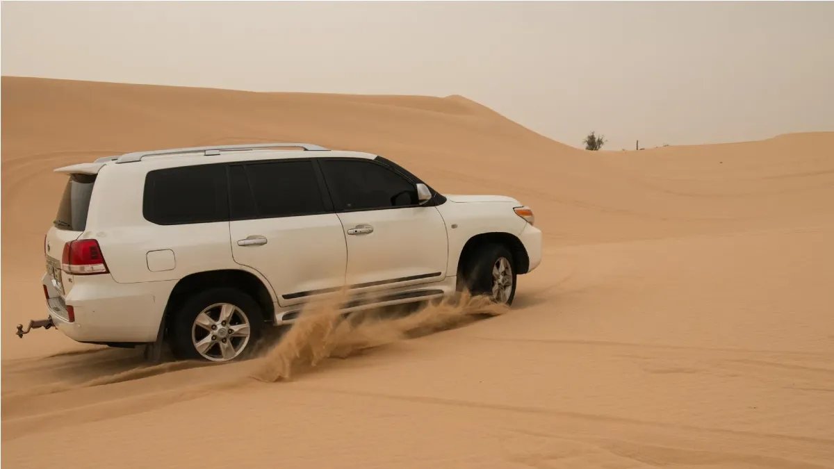 Dubai Morning Desert Safari
