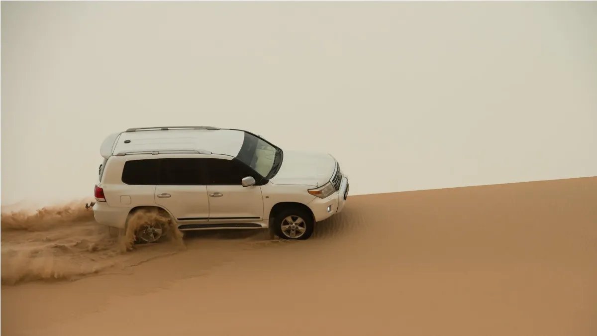 Abu Dhabi Evening Desert Safari